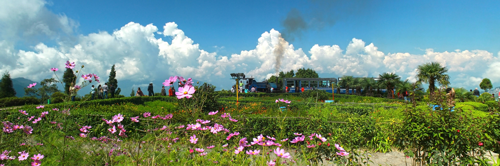 Darjeeling Tour Packages