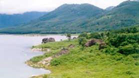 Mangalam Dam